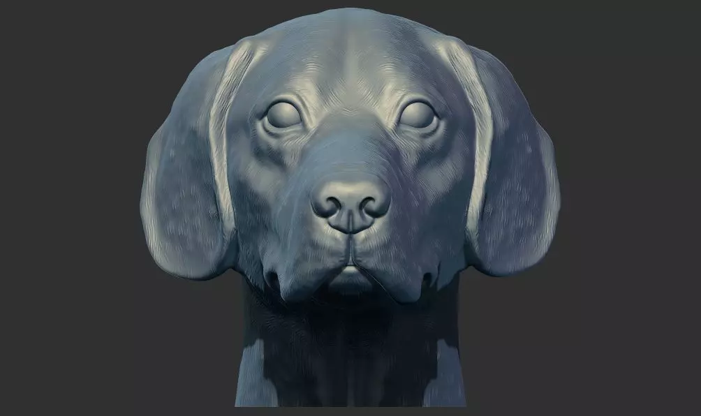 Labrador Dog Head Bust 3d printable model 3D print model_0