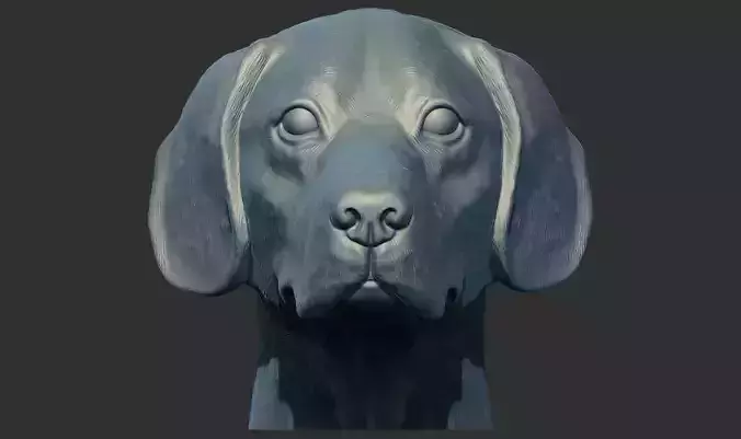 Labrador Dog Head Bust 3d printable model