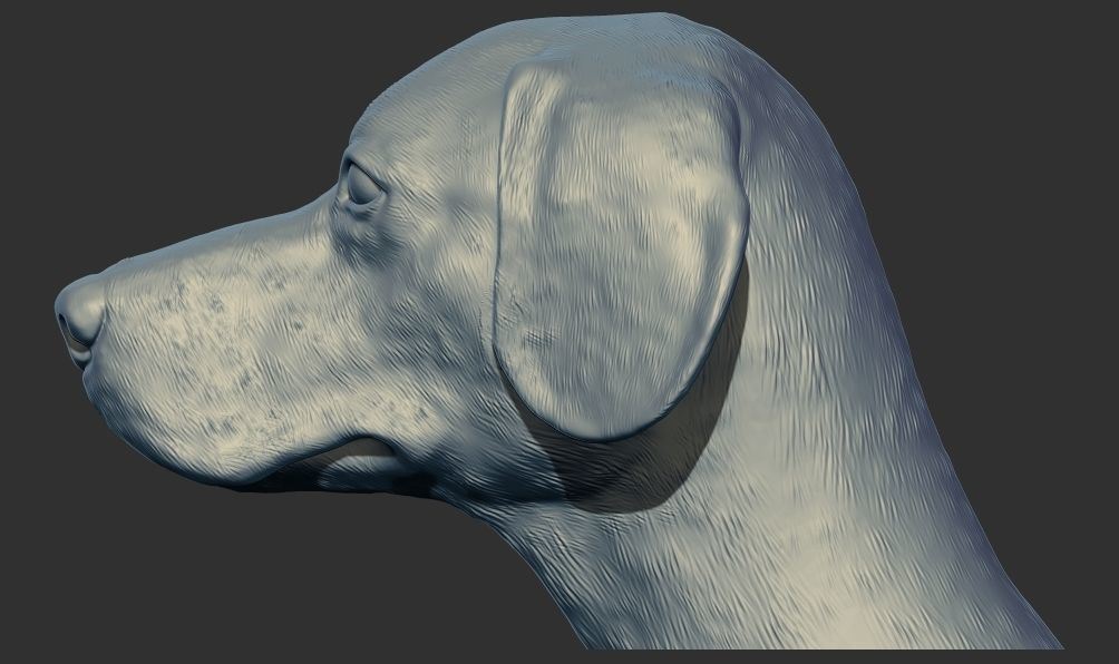 Labrador Dog Head Bust 3d printable model 3D print model_1