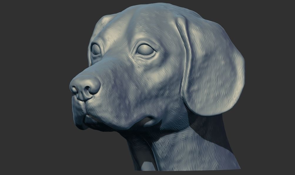 Labrador Dog Head Bust 3d printable model 3D print model_5