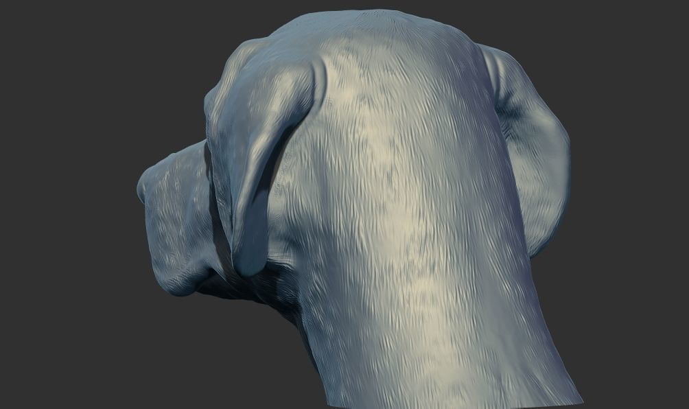 Labrador Dog Head Bust 3d printable model 3D print model_3