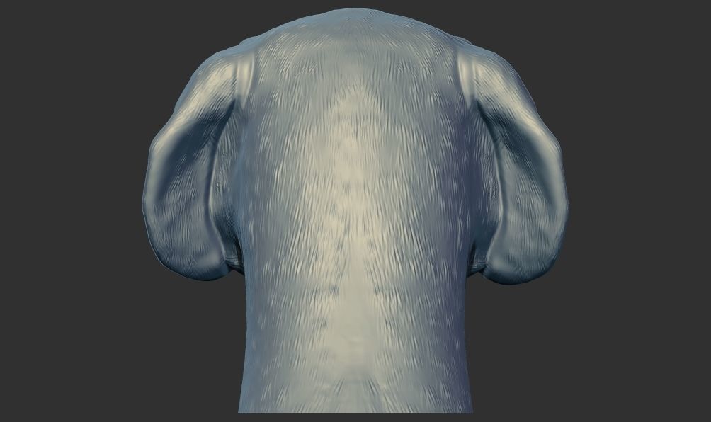 Labrador Dog Head Bust 3d printable model 3D print model_2