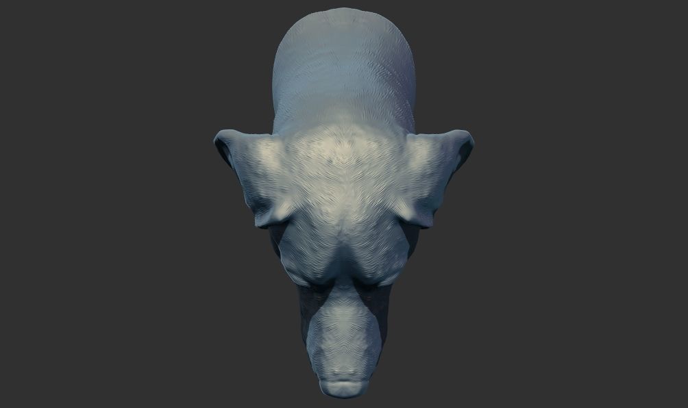 Labrador Dog Head Bust 3d printable model 3D print model_6