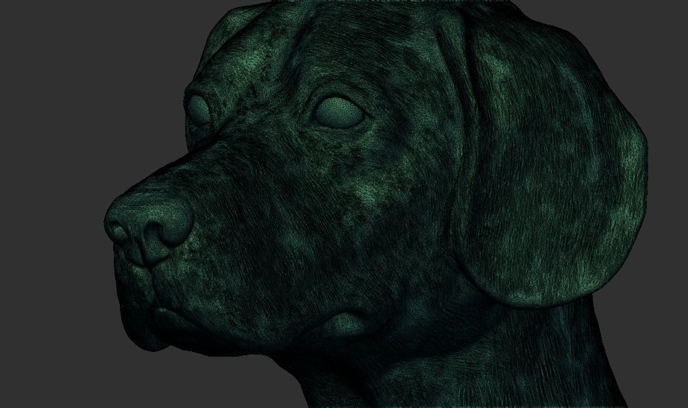 Labrador Dog Head Bust 3d printable model 3D print model_7