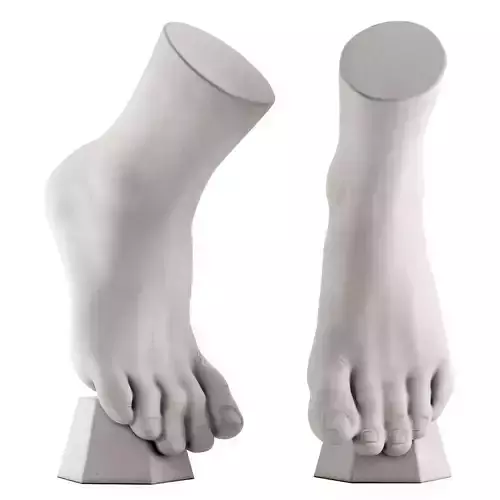 Ecorche plaster training manual foot vertical