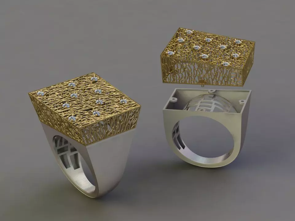 Fusion Ring  3D print model_0
