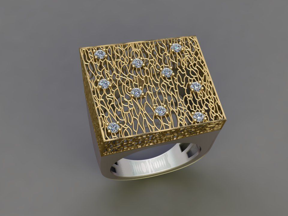 Fusion Ring  3D print model_1