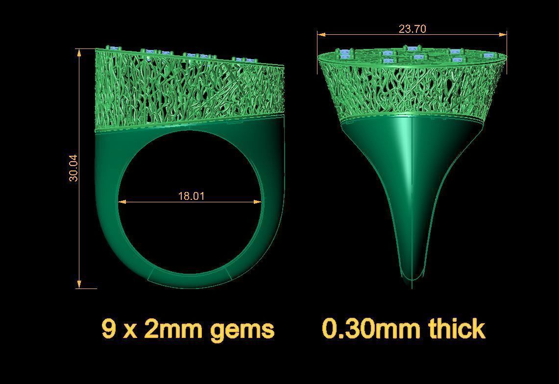 Fusion Ring  3D print model_2
