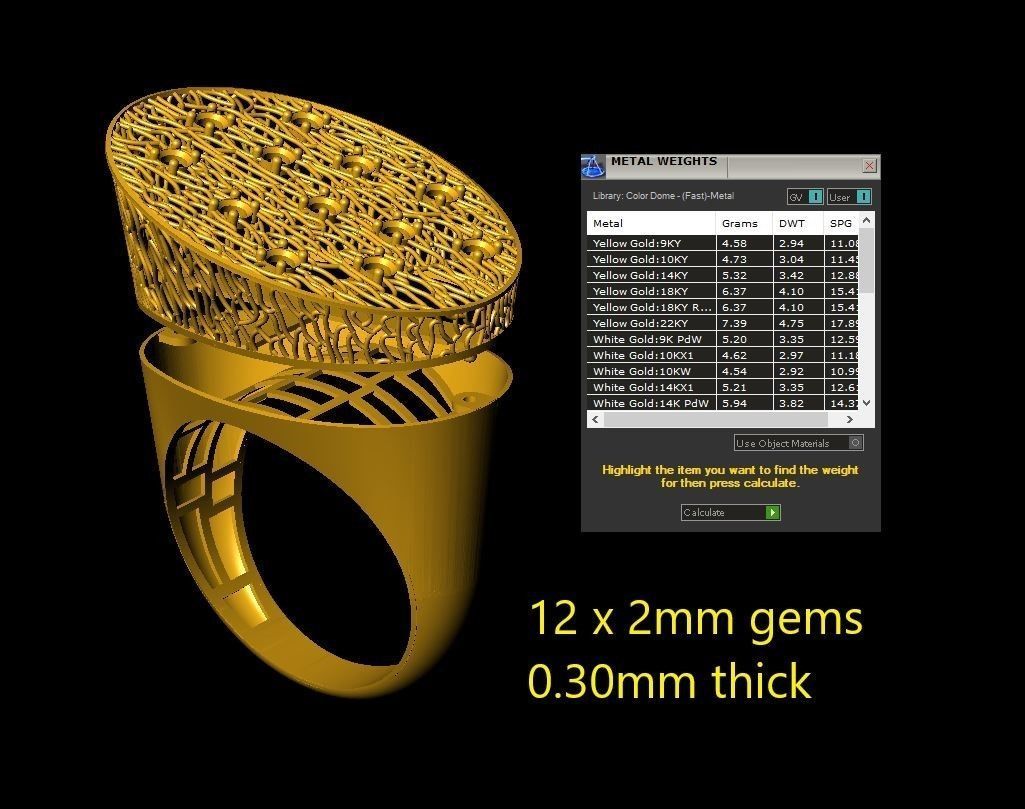 Fusion Ring  3D print model_3