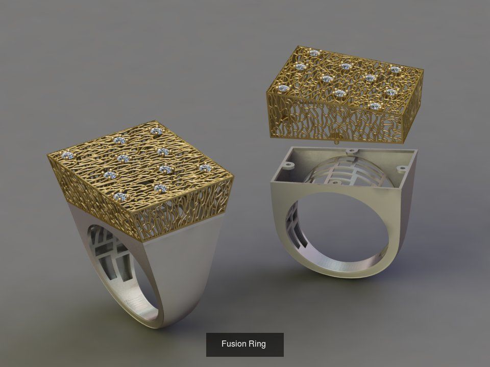 Fusion Ring  3D Model Collection_1