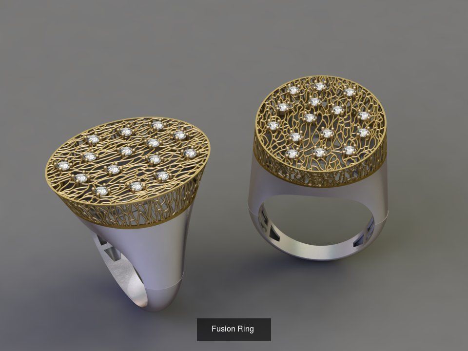 Fusion Ring  3D Model Collection_11