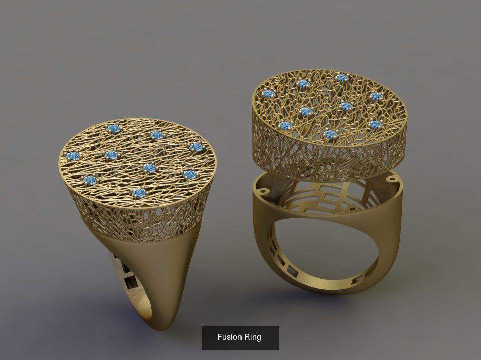 Fusion Ring  3D Model Collection_2