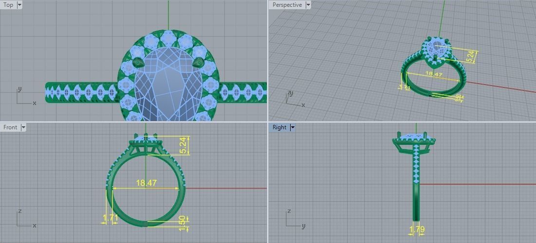 Ring pear Model 5581 3D print model_5