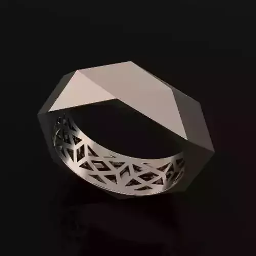 Ring Model 5561
