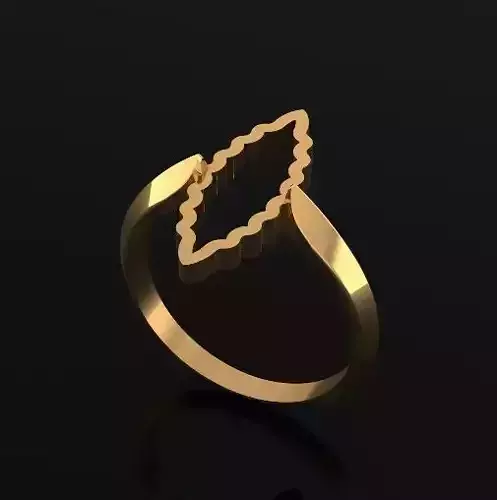 Ring Model 5551