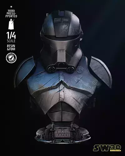 STAR WARS Echo Portrait Bust Tested for 3D Printing 3D print model