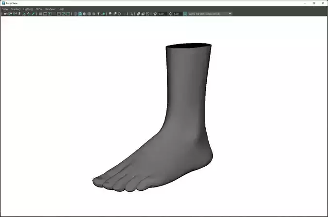 foot model Low-poly 3D model