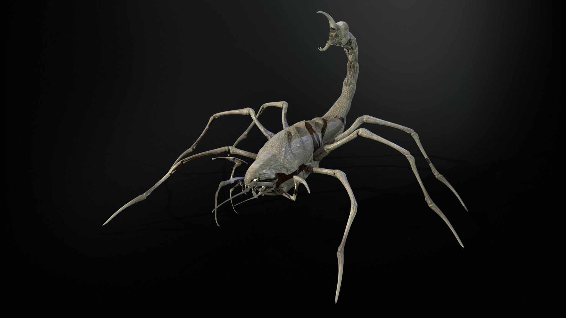 LandBug2 A1 Low-poly 3D model_26