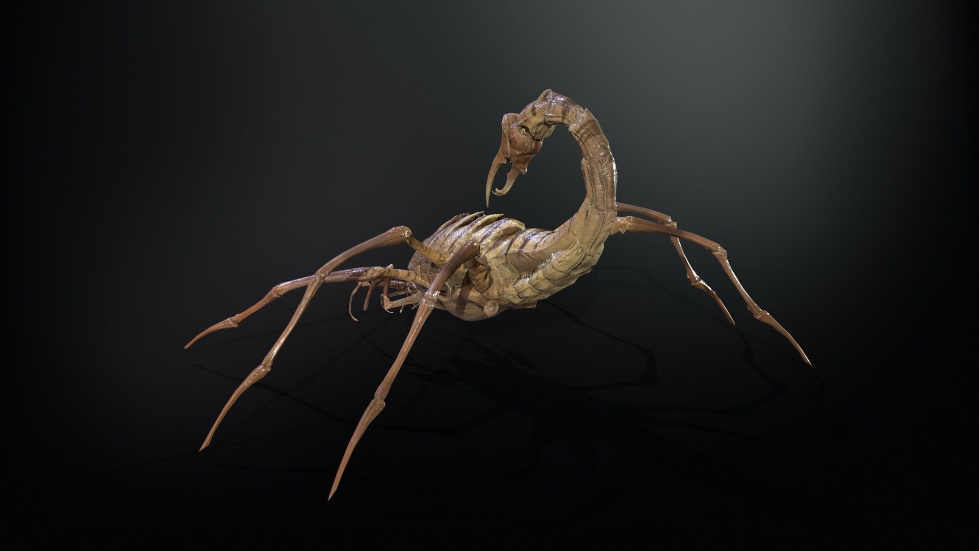 LandBug2 A1 Low-poly 3D model_9