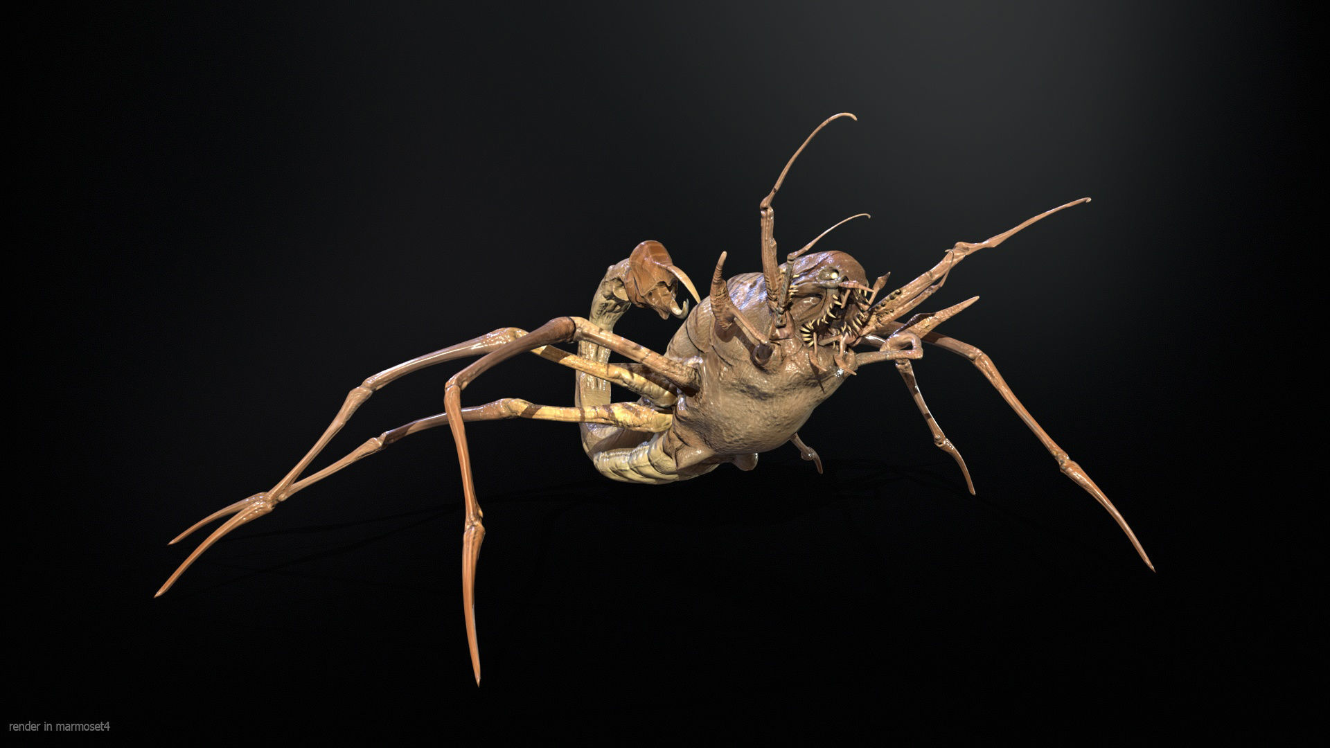 LandBug2 A1 Low-poly 3D model_2