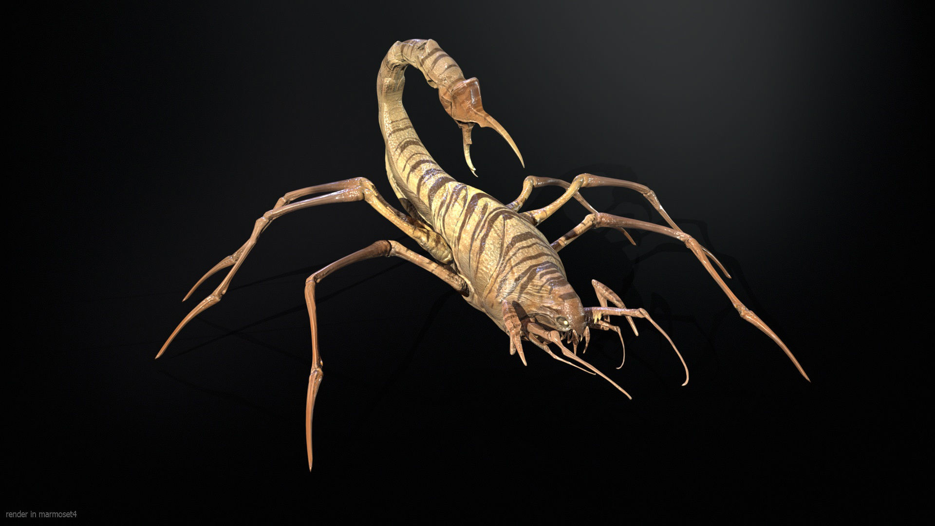 LandBug2 A1 Low-poly 3D model_5
