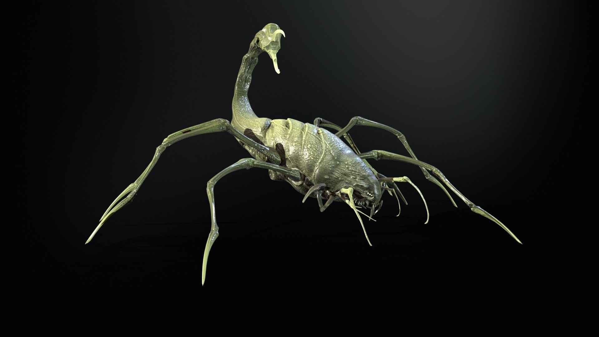 LandBug2 A1 Low-poly 3D model_19