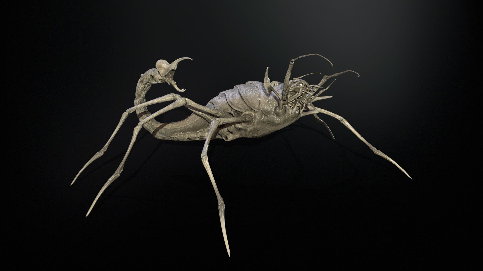 LandBug2 A1 Low-poly 3D model_27