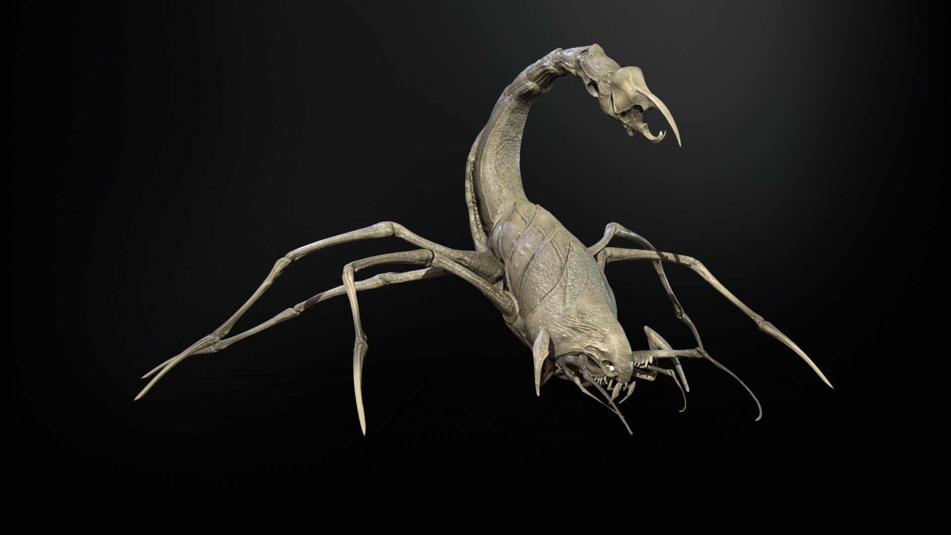 LandBug2 A1 Low-poly 3D model_24