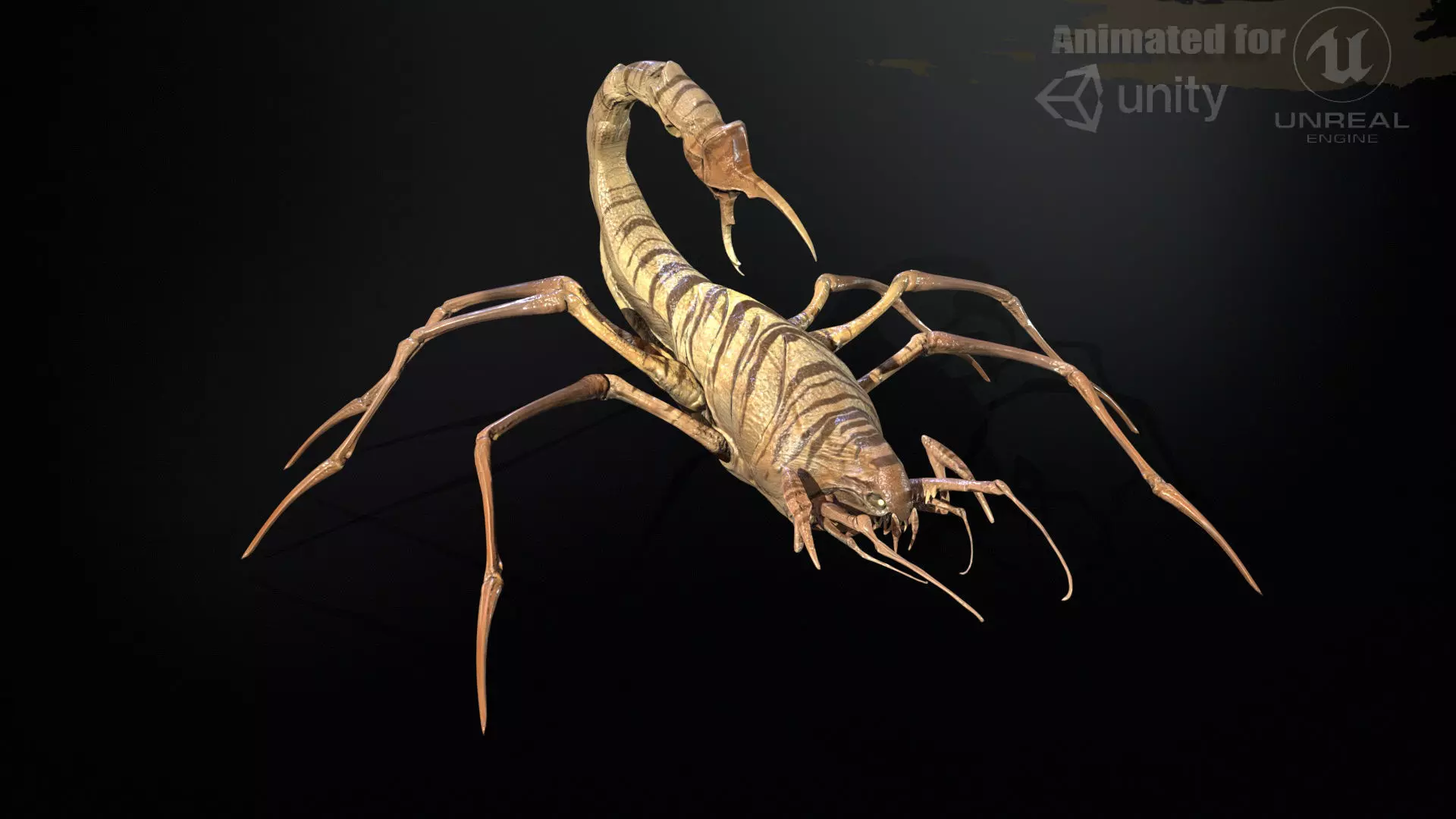 LandBug2 A1 Low-poly 3D model_0