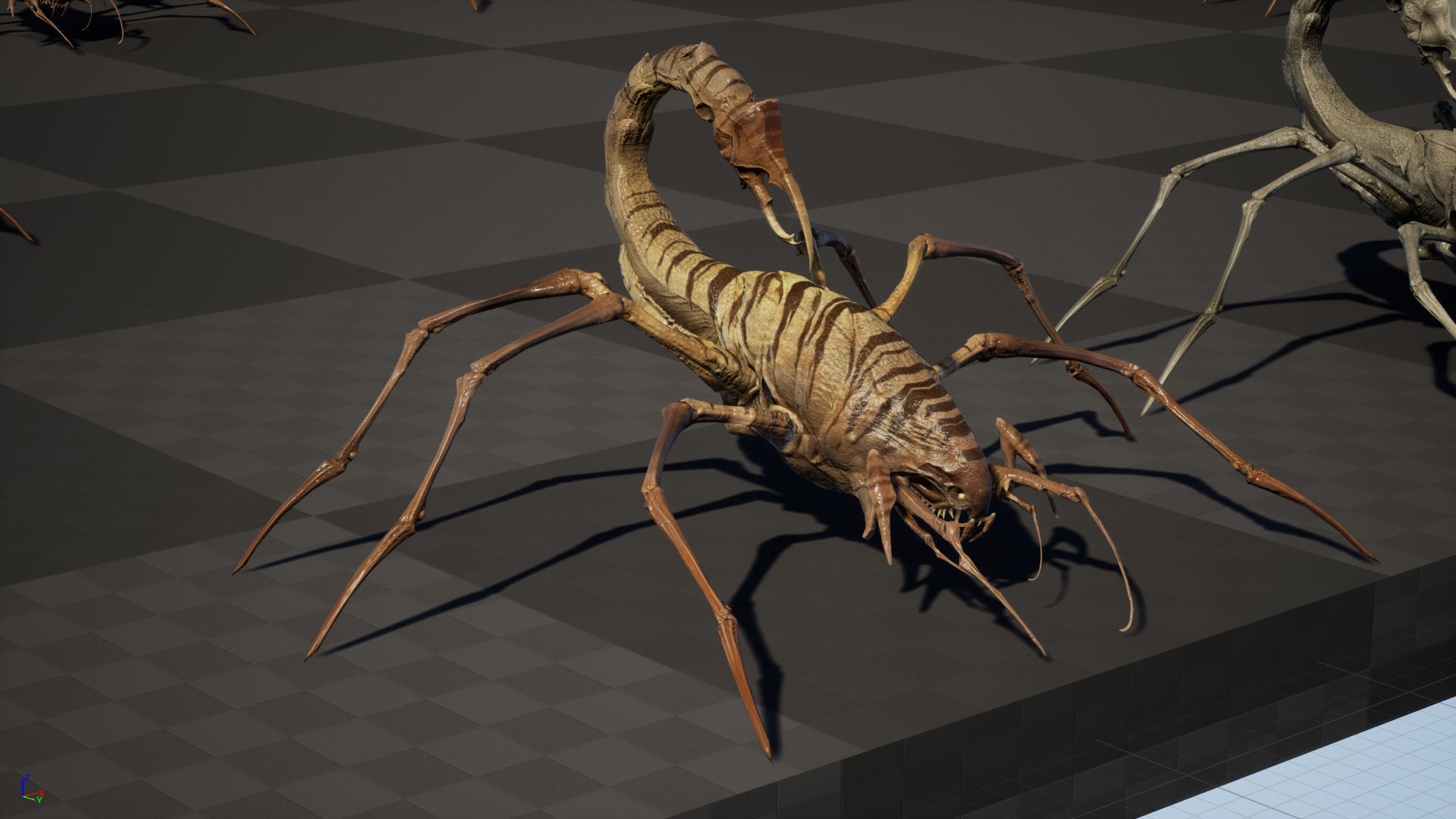 LandBug2 A1 Low-poly 3D model_30