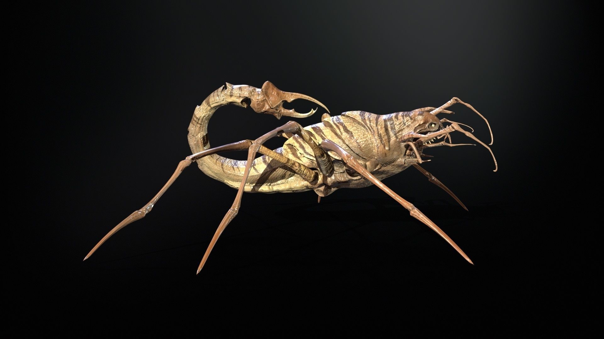 LandBug2 A1 Low-poly 3D model_17