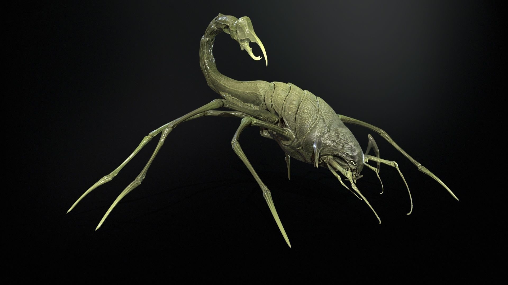 LandBug2 A1 Low-poly 3D model_21