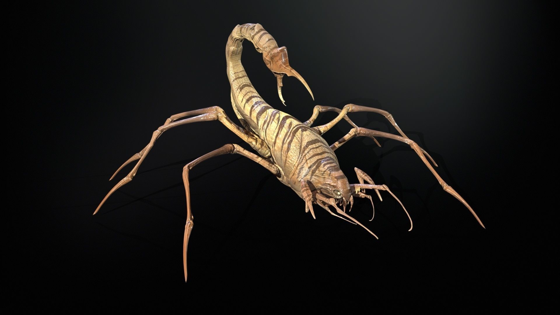 LandBug2 A1 Low-poly 3D model_16
