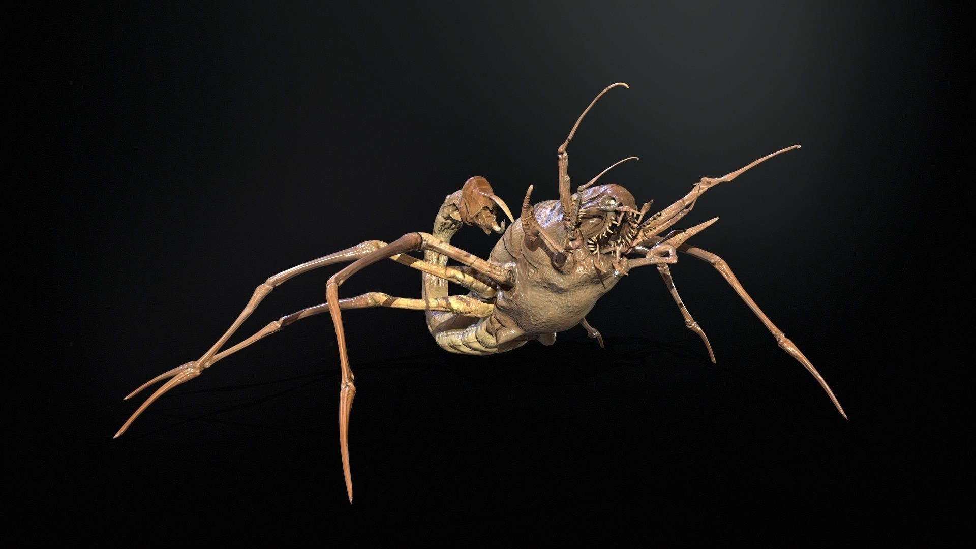 LandBug2 A1 Low-poly 3D model_14