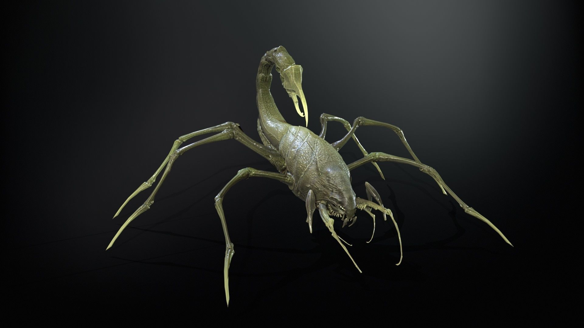 LandBug2 A1 Low-poly 3D model_10