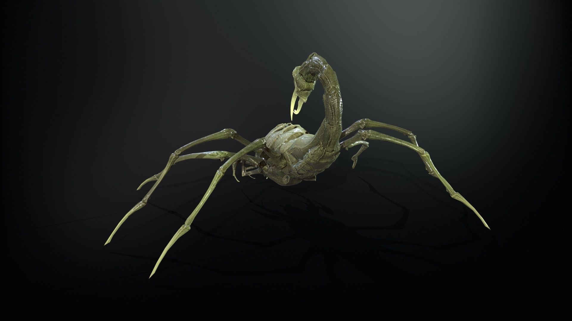 LandBug2 A1 Low-poly 3D model_11