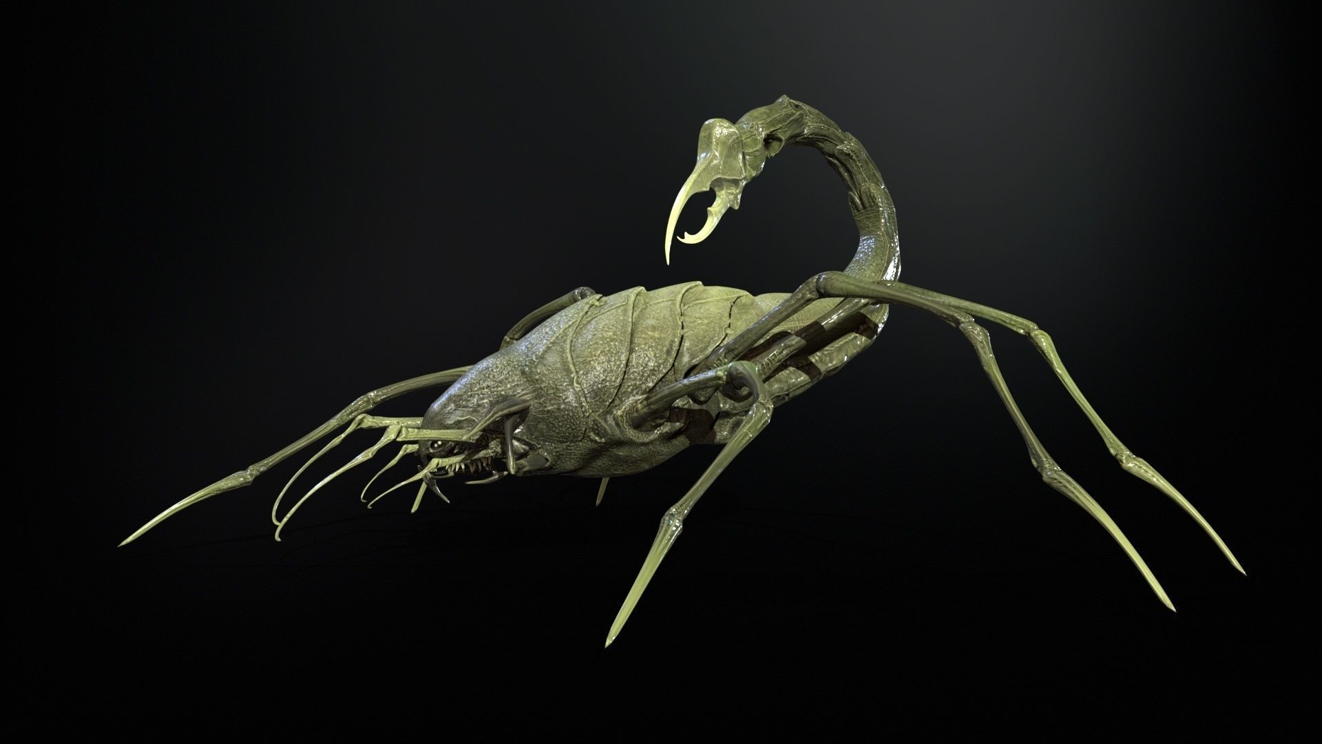 LandBug2 A1 Low-poly 3D model_22