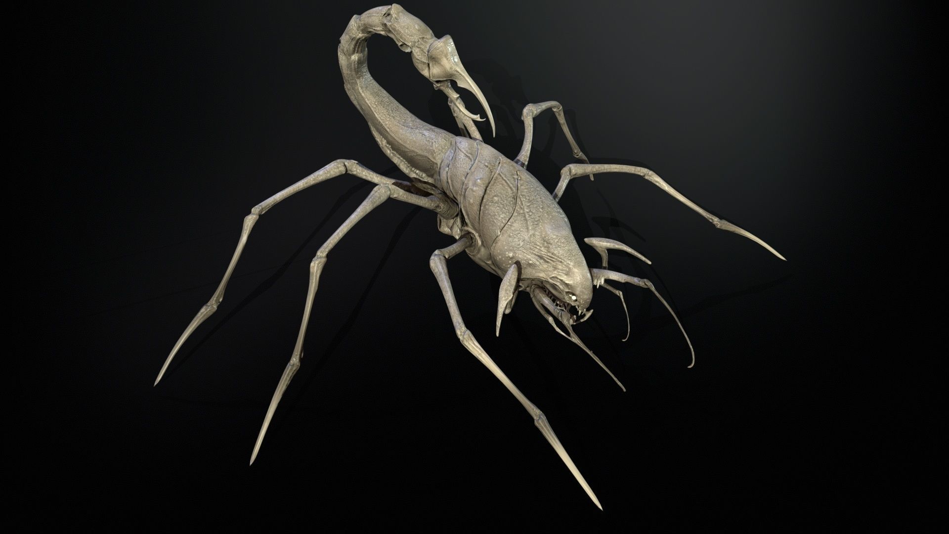 LandBug2 A1 Low-poly 3D model_23