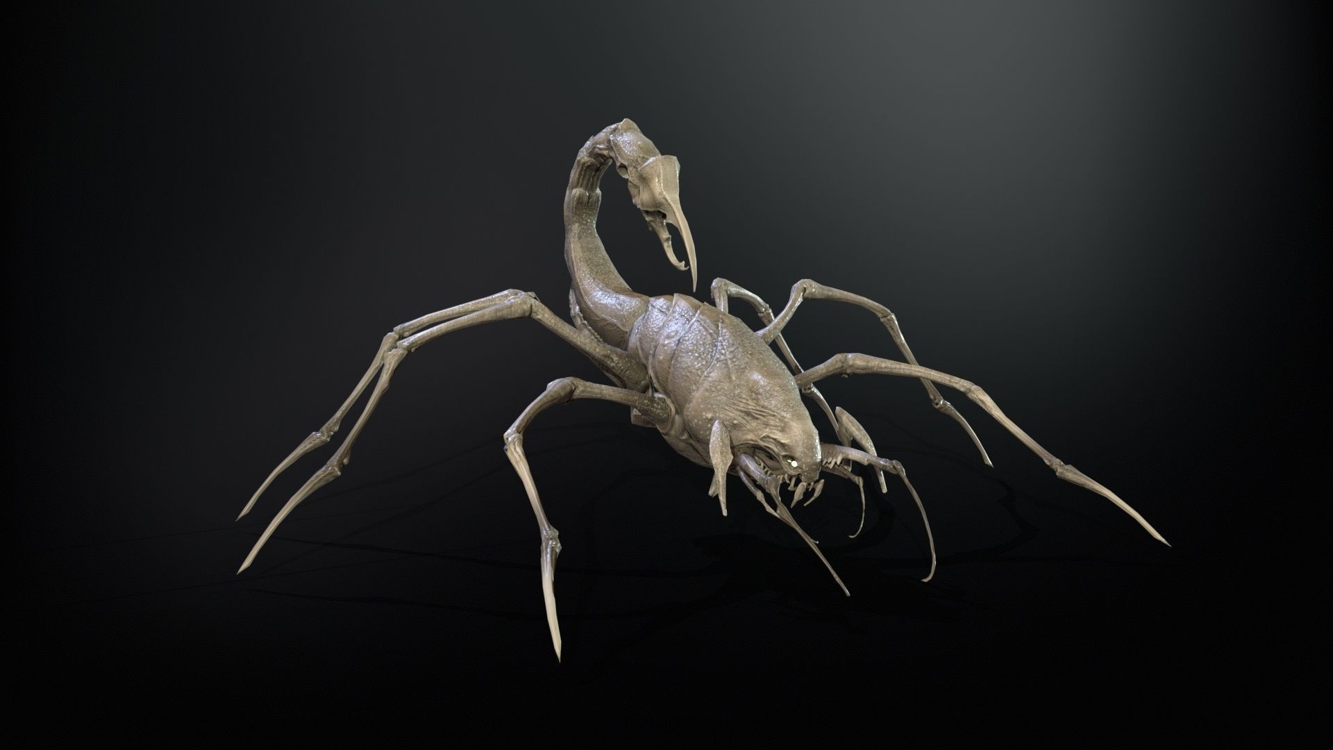 LandBug2 A1 Low-poly 3D model_6