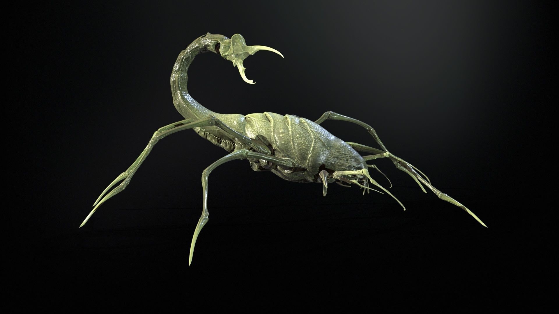 LandBug2 A1 Low-poly 3D model_20