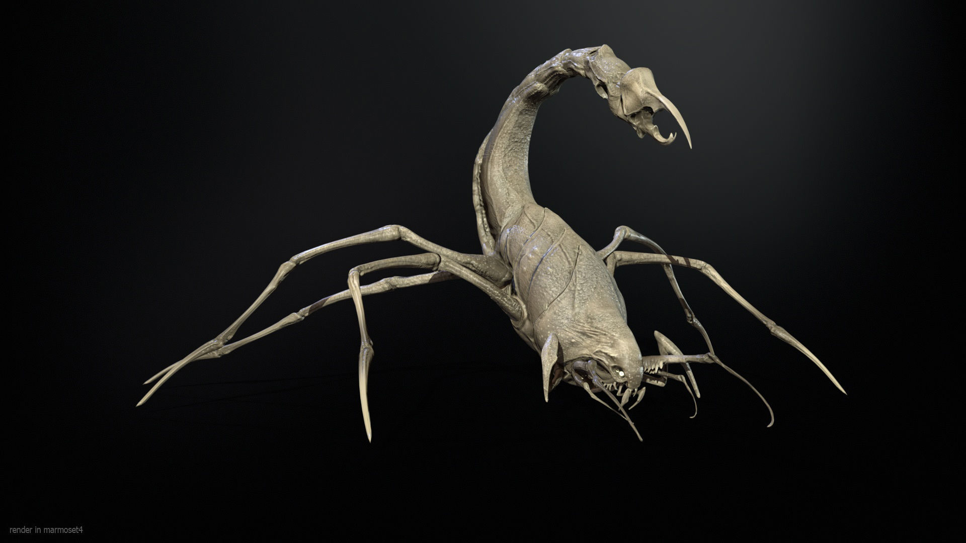 LandBug2 A1 Low-poly 3D model_3