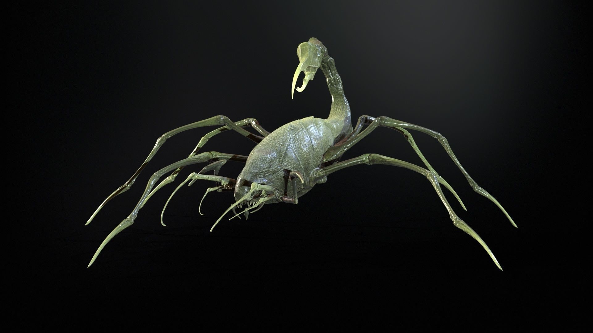 LandBug2 A1 Low-poly 3D model_18