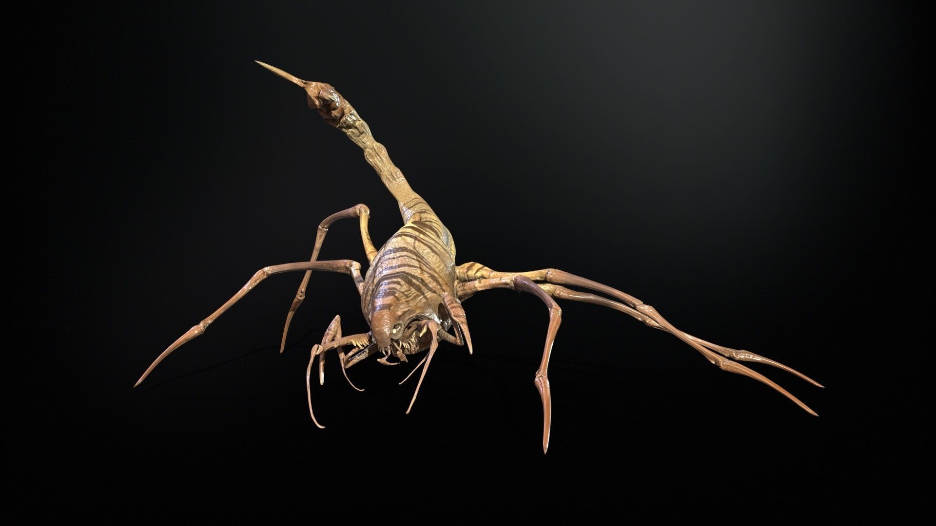 LandBug2 A1 Low-poly 3D model_15