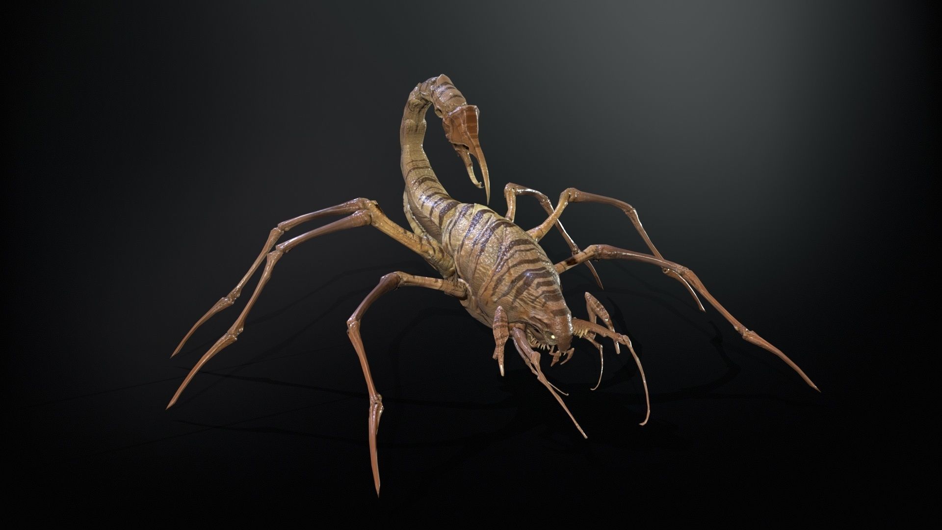 LandBug2 A1 Low-poly 3D model_8