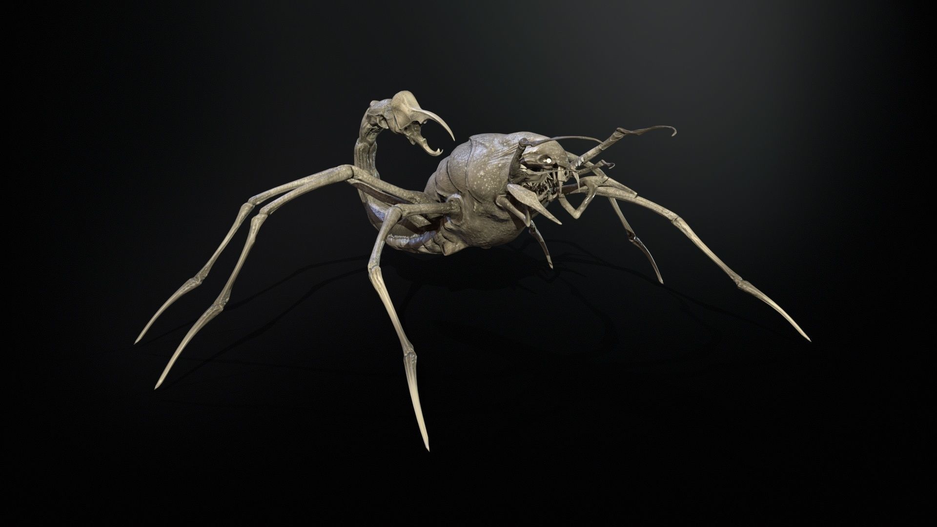 LandBug2 A1 Low-poly 3D model_25