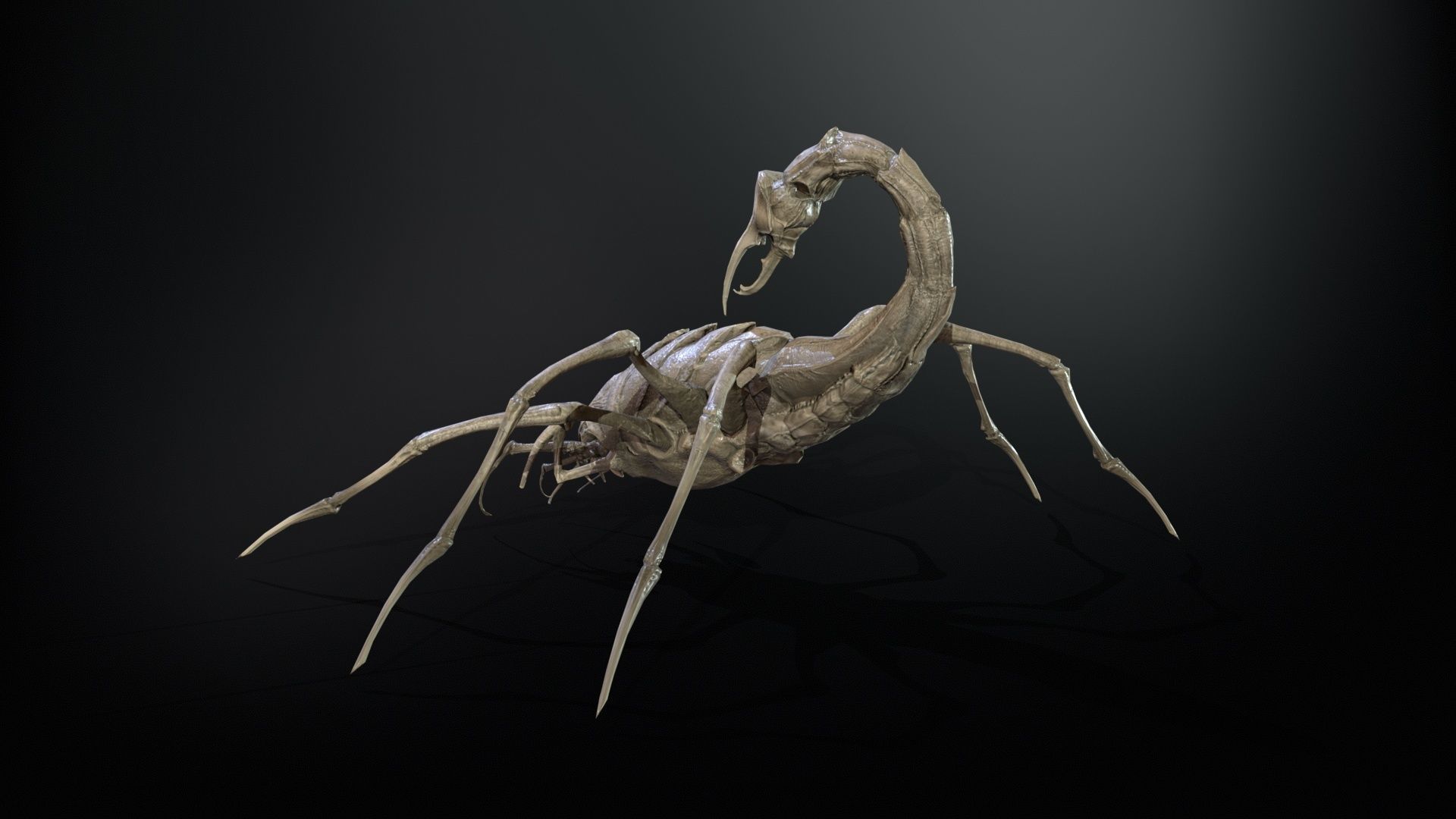 LandBug2 A1 Low-poly 3D model_7