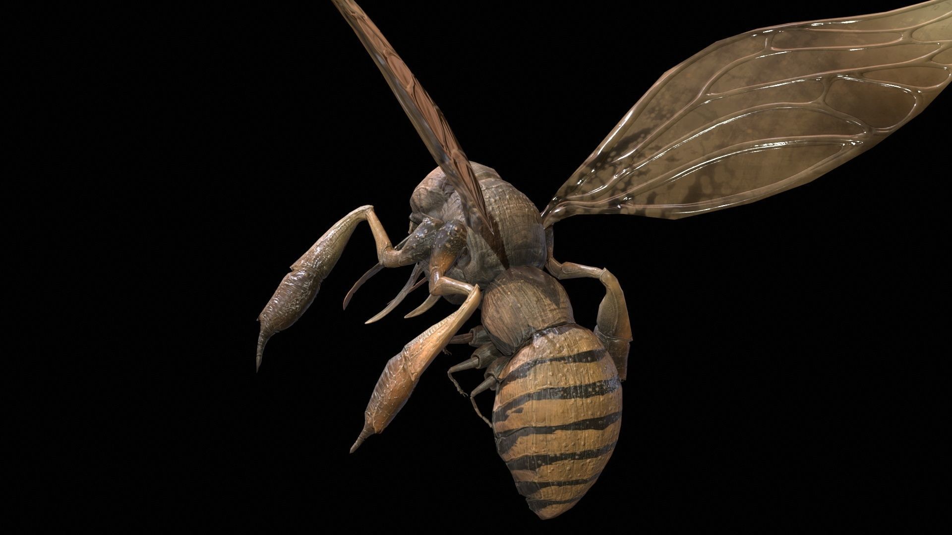 FlyingBugA3 Low-poly 3D model_7
