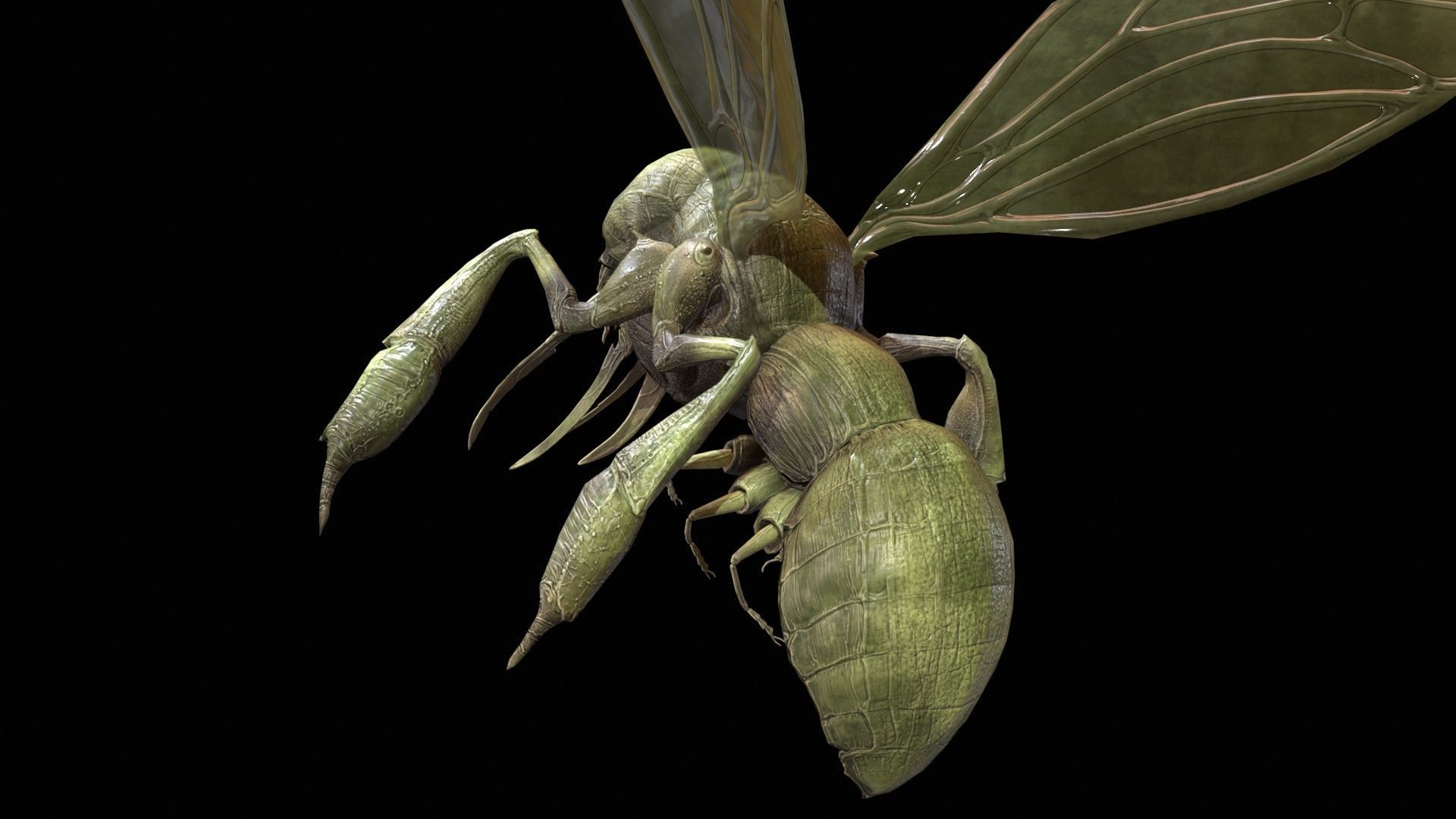 FlyingBugA3 Low-poly 3D model_11