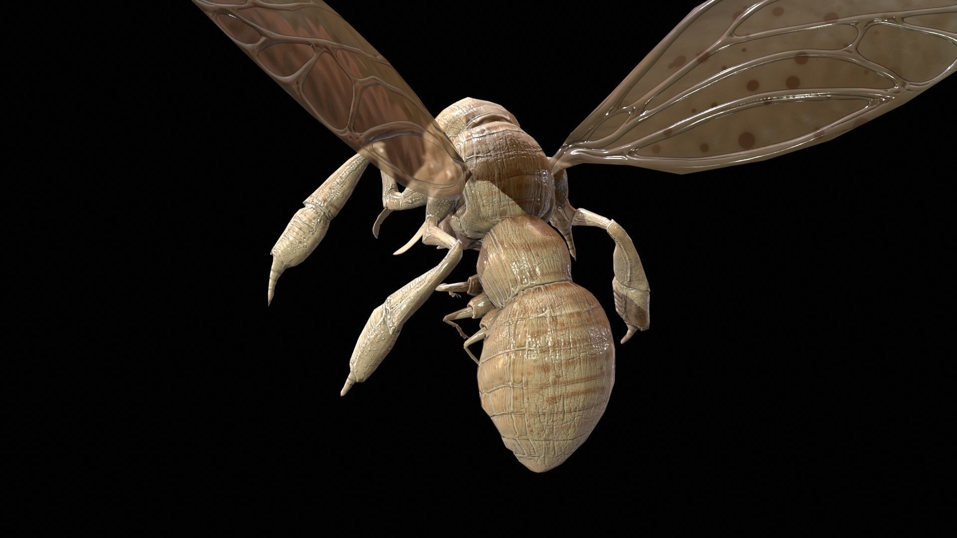 FlyingBugA3 Low-poly 3D model_14