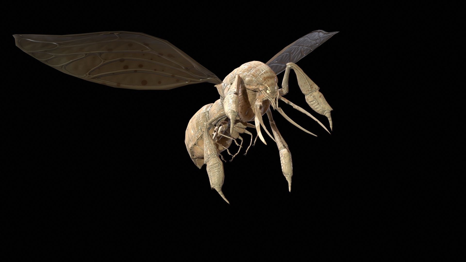 FlyingBugA3 Low-poly 3D model_19